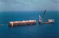 1198offgene1 1198offgene1