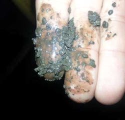 1410offbhi1 1410offbhi1