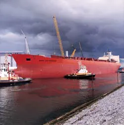56084601