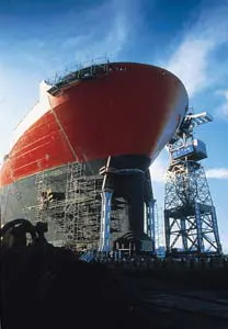 56084901