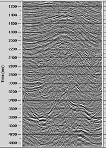56106602 56106602