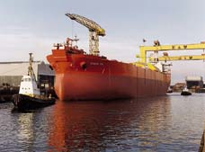 56111801