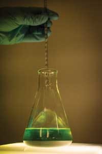 Newpark1 1411off Newpark1 1411off