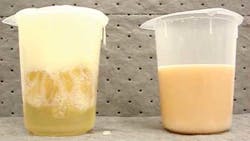 Resin1 1305off Resin1 1305off