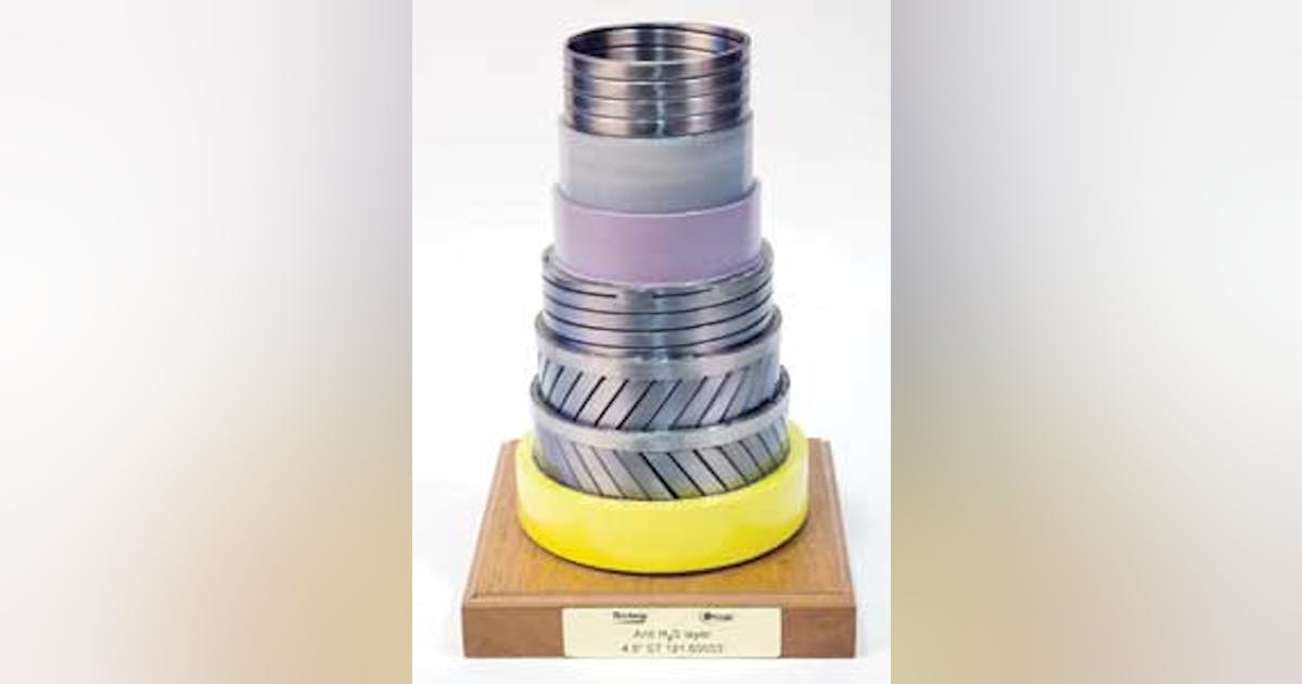 Anti-H2S layer extends operating envelope for sour service flexible ...