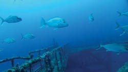 Sss1 1312off Sss1 1312off