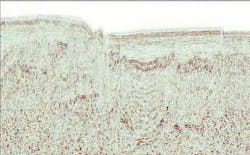 Th 0701off Geo1 Th 0701off Geo1