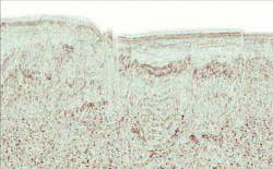 Th 0701off Geo1 Th 0701off Geo1