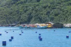 Th 0804offgeo1 Th 0804offgeo1