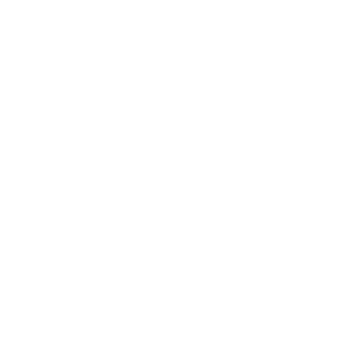 Th 115979
