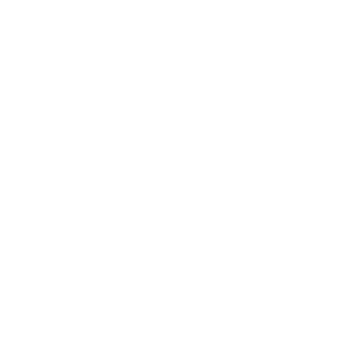 Th 161954