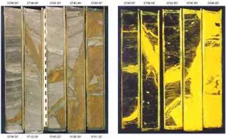 Sand Injectites Form Sand injectites provide a global exploration opportunity | Offshore