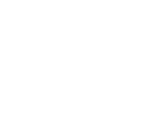 Th 195538