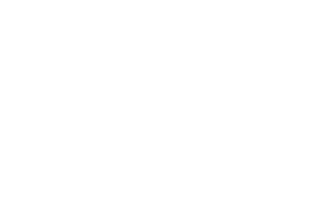 Th 208385