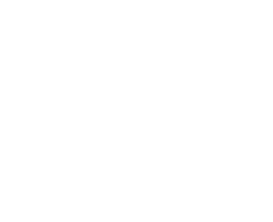 Th 213121