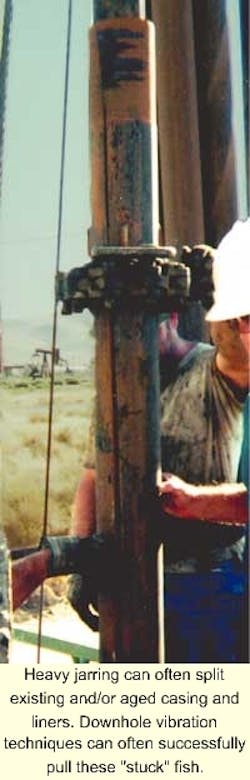 Th 6010osfish1 Th 6010osfish1