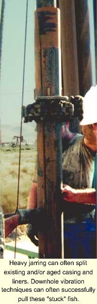 Th 6010osfish1 Th 6010osfish1