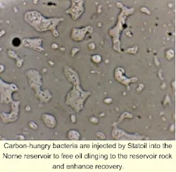 Th 6104osbact Th 6104osbact