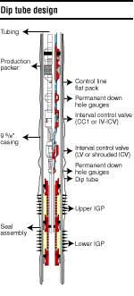 Planning and installing intelligent wells in sand producing environment ...