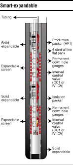 Planning and installing intelligent wells in sand producing environment ...