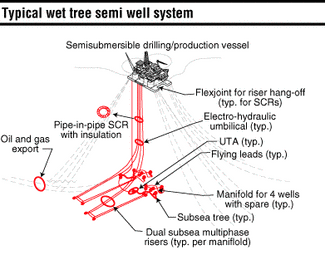 Dry Vs Wet Trees On Production Platforms With Direct Access Wells In Ultra Deepwater Offshore