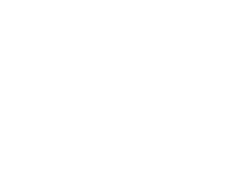 Th Activerigfleet
