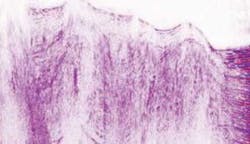 Th Black12 0811off Th Black12 0811off