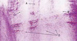 Th Black13 0811off Th Black13 0811off