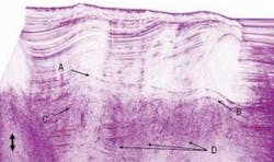 Th Black5 0811off Th Black5 0811off