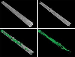 1604offdoe P01 1604offdoe P01