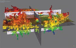 1702offgeo P01 1702offgeo P01