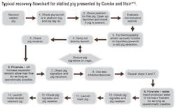 1802offpig P01 1802offpig P01