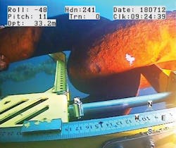 1901offeman P06 1901offeman P06