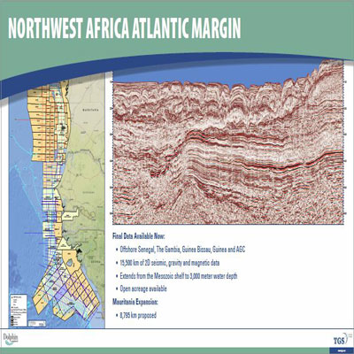 Dolphin Geophysical