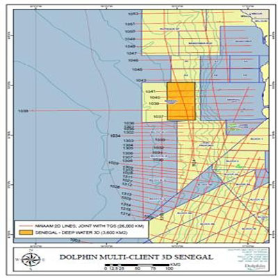 Dolphin Geophysical Senegal