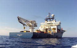 Mermaid Endurer Mermaid Endurer