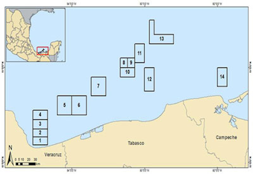 Mexico Contract Areas
