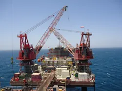 Dixie Patriot Dixie Patriot