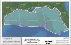 Gulf of Mexico OCS draft programmatic environmental impact statement on G&amp;G surveys