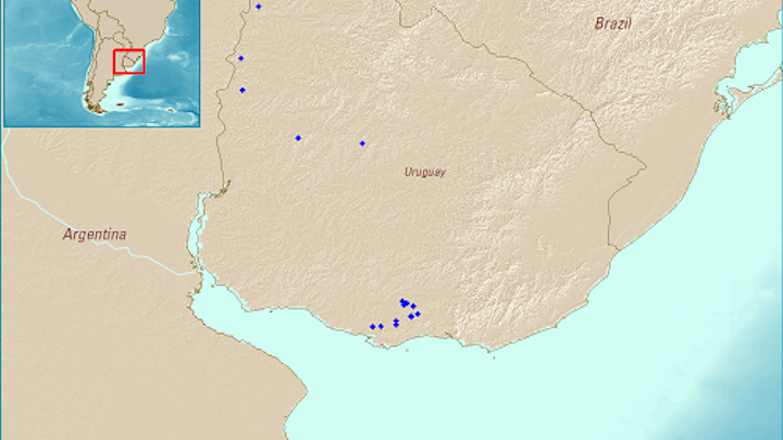 Uruguay exploratory wells