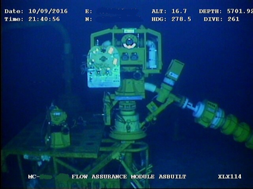 Flow assurance (chemical injection) flow access module