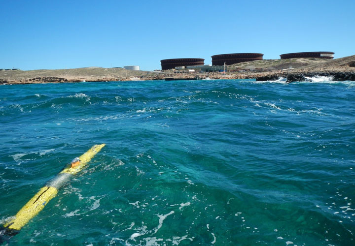 Teledyne Gavia AUV