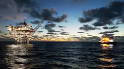 Juniper
