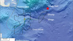 Whale deepwater oil discovery in the Gulf of Mexico