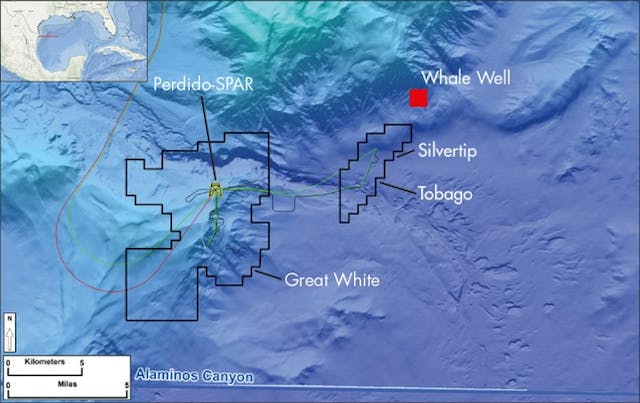 Whale deepwater oil discovery in the Gulf of Mexico