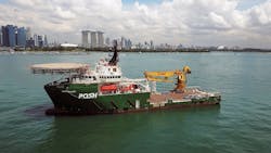 POSH Mallard POSH Mallard