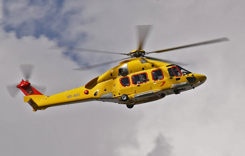 H175