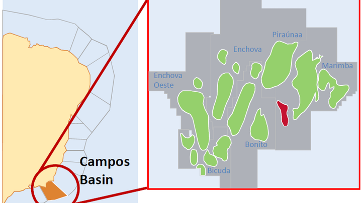 Enchova is a shallow-water field in the Campos basin offshore Brazil.