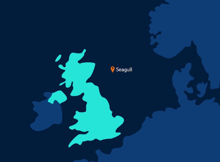 Seagull is in the UK central North Sea.