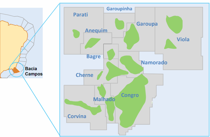 The Garoupa Cluster in the Campos basin comprises the Anequim, Bagre, Cherne, Congro, Corvina, Malhado, Namorado, Parati, Garoupa, Garoupinha and Viola fields.